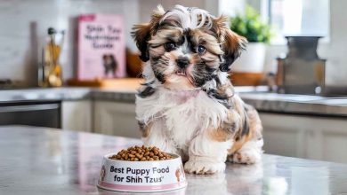 Best Puppy Food for Shih Tzus in USA & UK