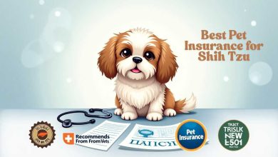 Best Pet Insurance for Shih Tzu: Best Pet Insurance Plans for Shih Tzus—What Vets Recommend