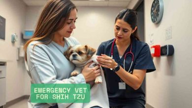 Emergency Vet for Shih Tzu: When Every Second Matters
