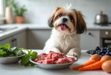 Raw Food Diet for Shih Tzu: Is It Safe and How to Start?