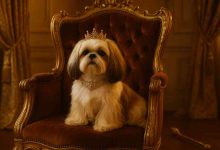 Royal and Aristocratic Names for Shih Tzus