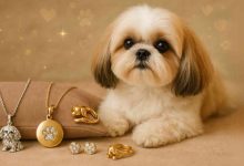 15 Beautiful Shih Tzu Jewelry Pieces Every Dog Lover Will Adore