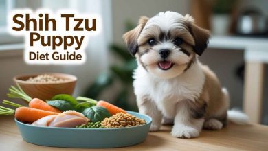 Shih Tzu Puppy Diet Guide: What to Feed for a Healthy Start