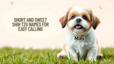 Short and Sweet Shih Tzu Names for Easy Calling